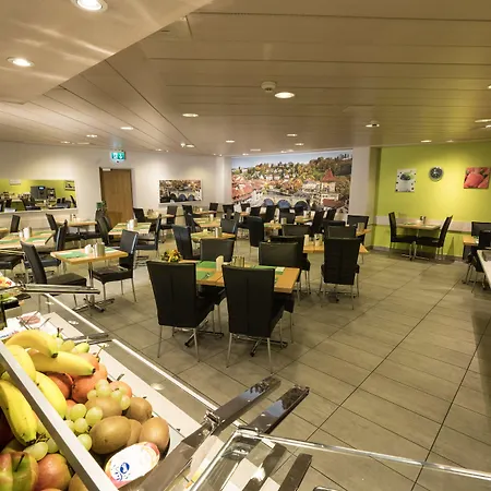 Hotel Waldhorn 3*