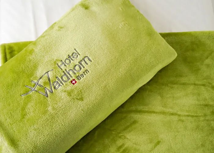 Hotel Waldhorn Berna