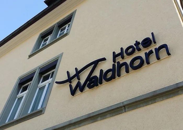 Hotel Waldhorn 3*