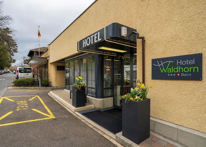 Waldhorn Hotell 3*