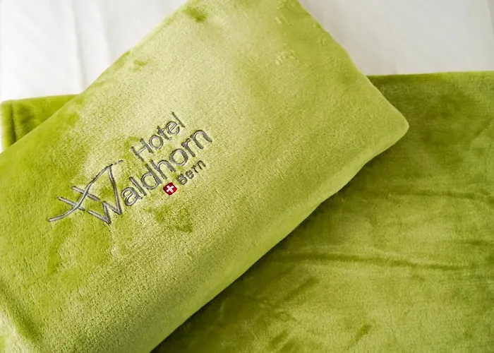 Hotell Waldhorn Bern